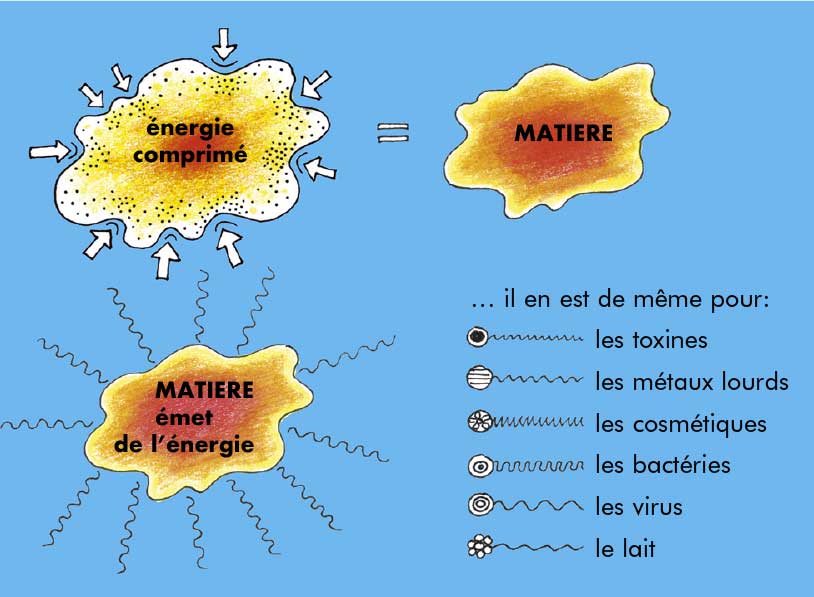 materie frt